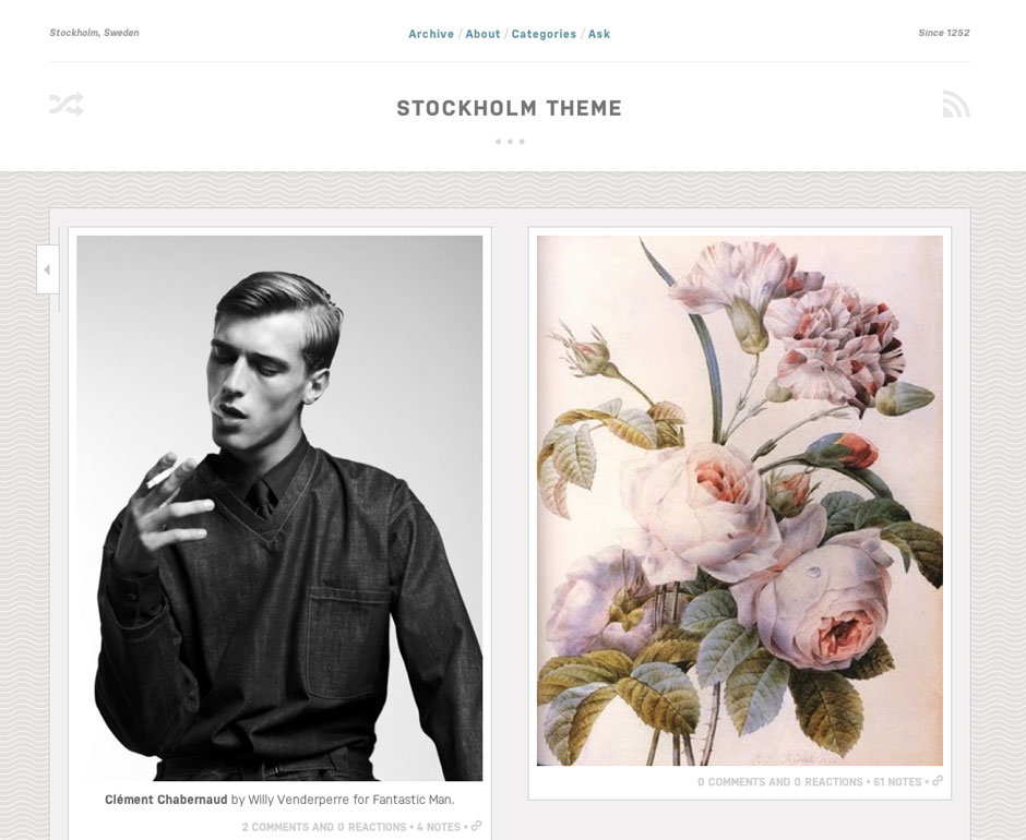 Tumblr and Shopify themes
